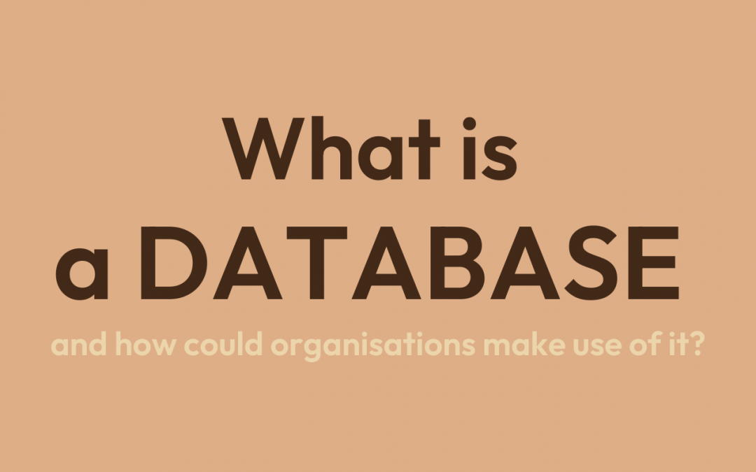 What is a Database, and how could organisations make use of it?