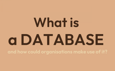 What is a Database, and how could organisations make use of it?