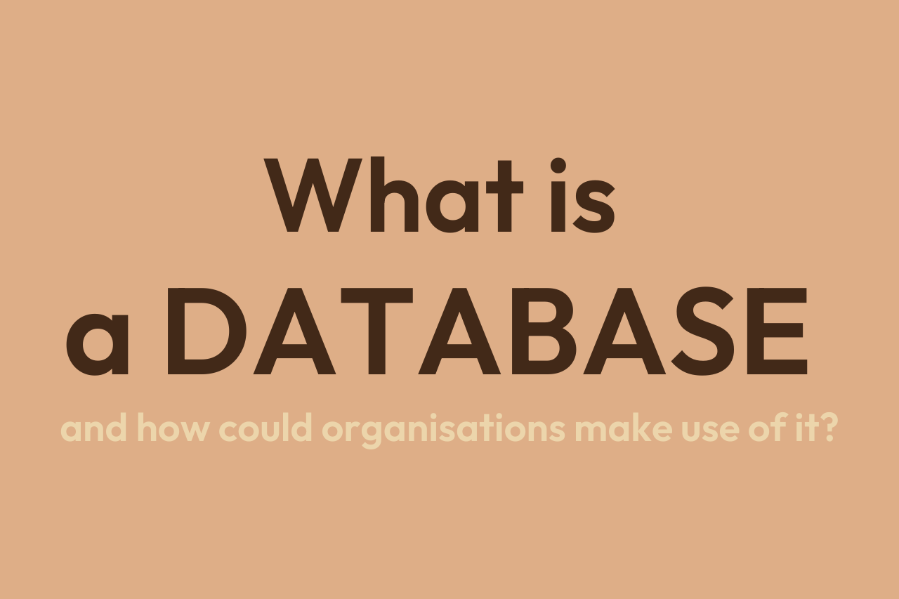 What is a Database-3